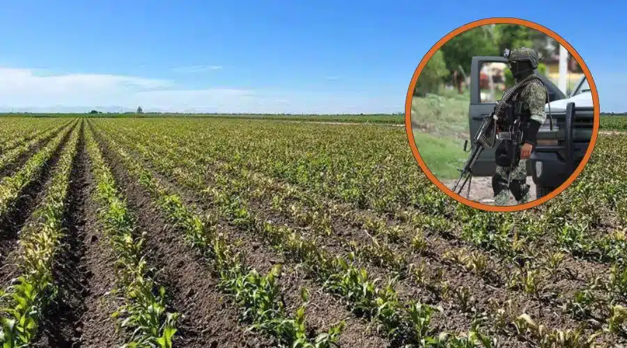 Siembra en campo (fondo), elementos del Ejécito (en circulo)