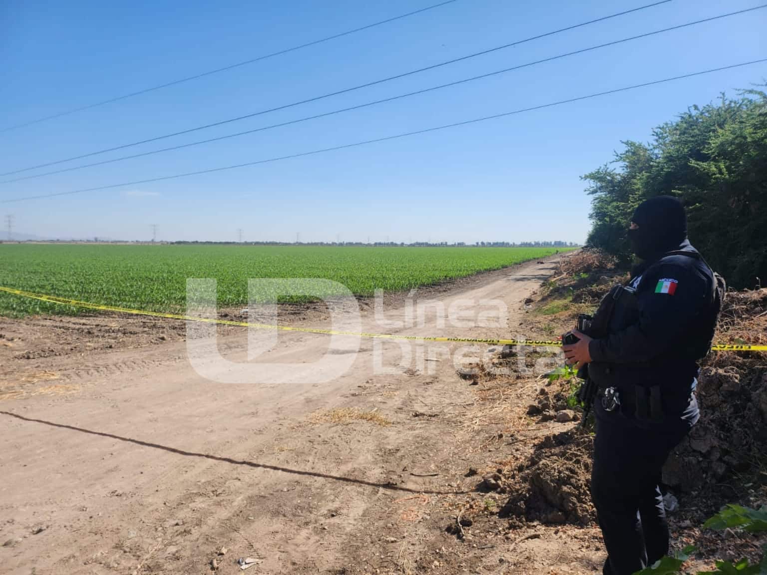 ASESINATO CULIACÁN SAN PEDRO NAVOLATO