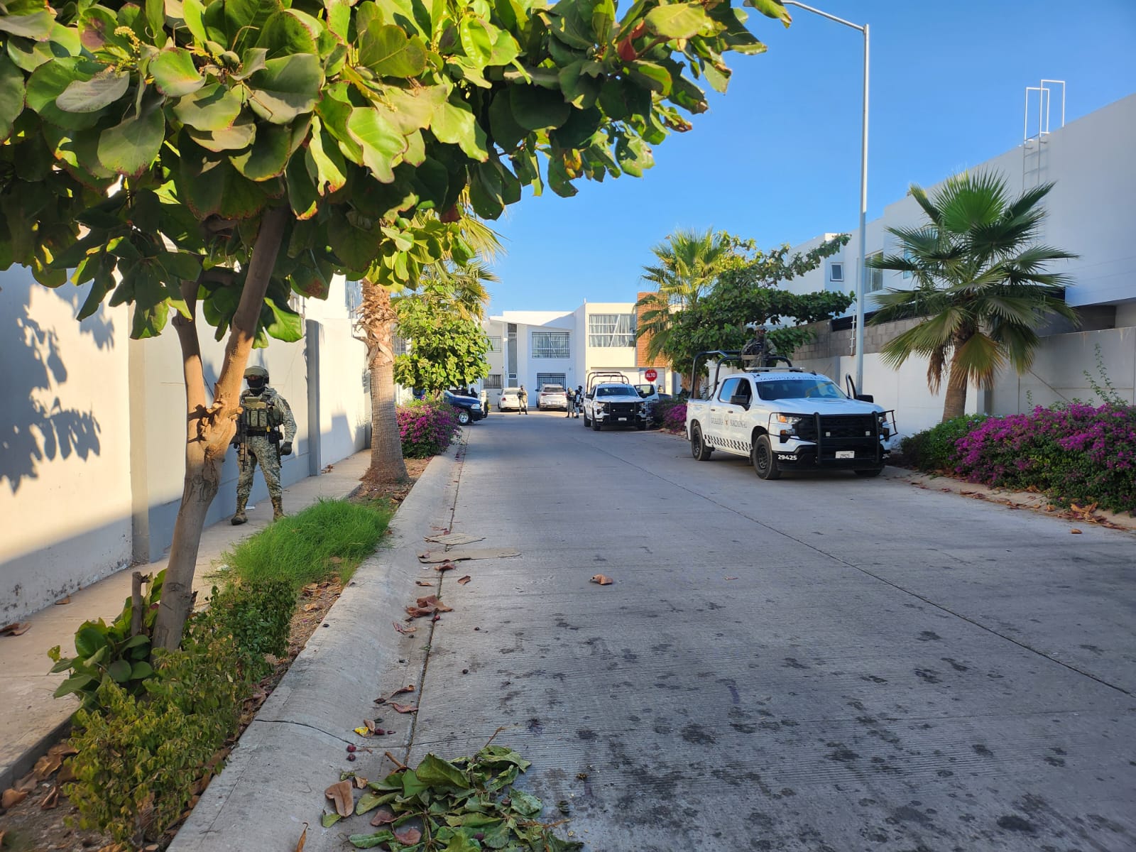Seguridad en Culiacán