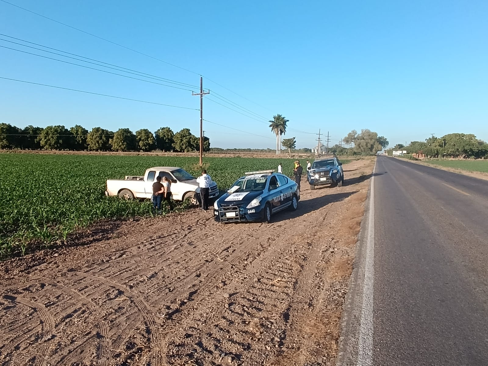 Adulto mayor lesionado tras salida camino Guasave