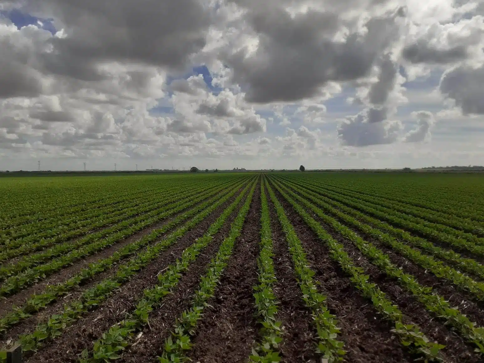 Agricultores enfrentan retos pero mantienen esperanza, AARSP