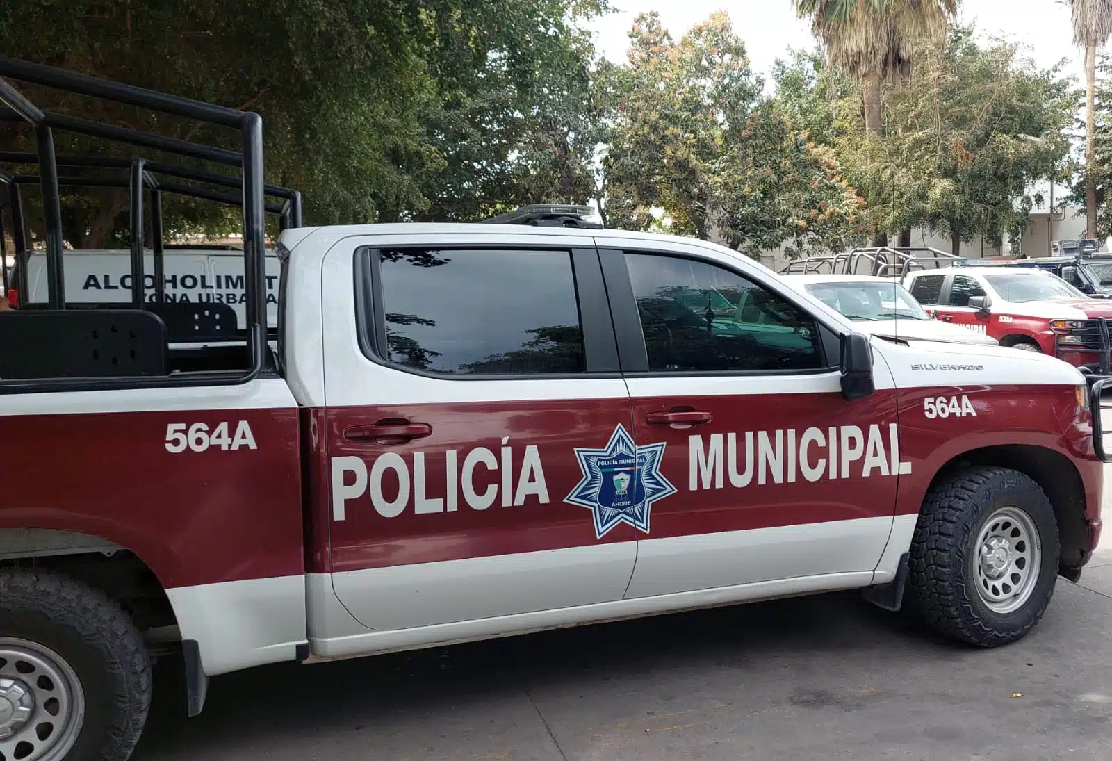 Amantes de lo ajeno visitan escuelas y estadio de beisbol benito juarez