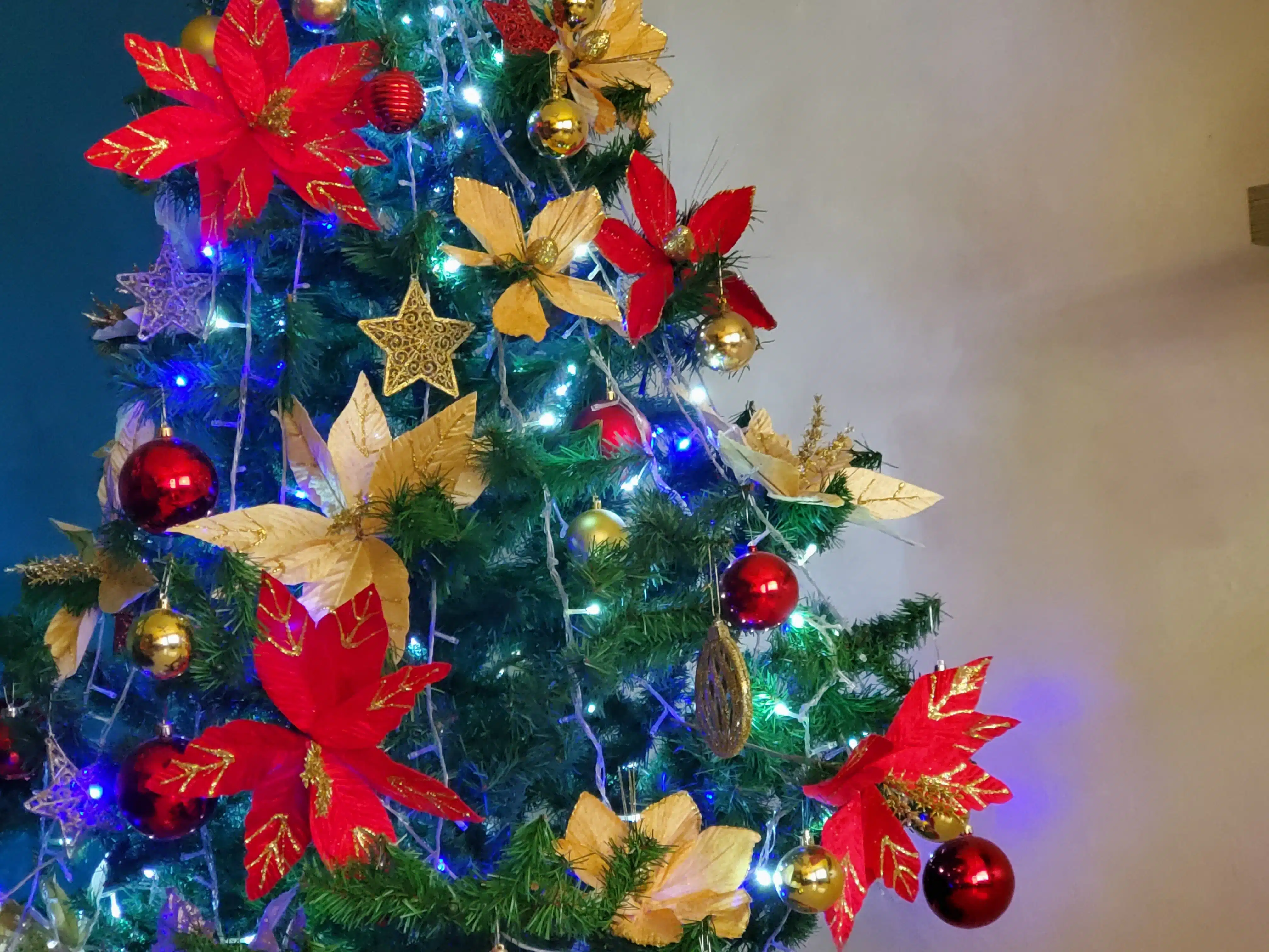 Luces en árbol de Navidad