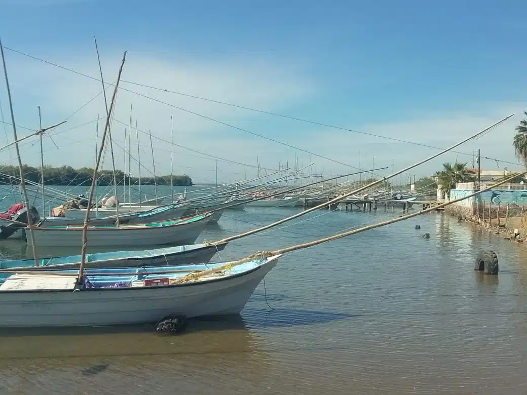 Bahía Santa María Angostura