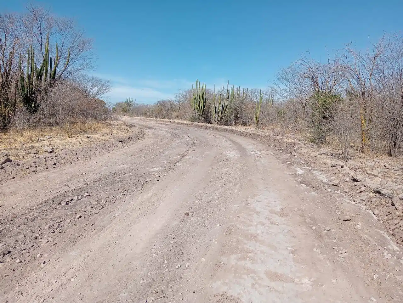 Trabajo permanente de raspado y nivelación de caminos en El Fuerte.