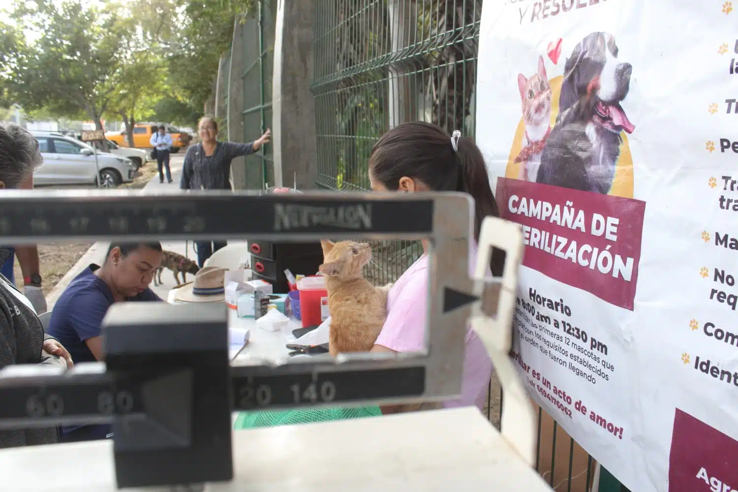 Camionsito esterilizador