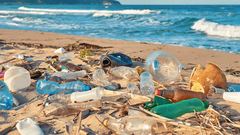 Desarrollan modelo matemático para rastreo de microplásticos en el mar...