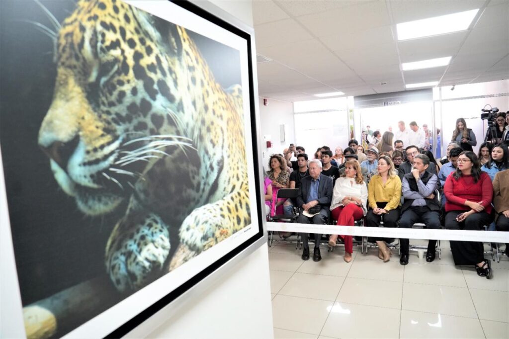 Inauguración del edificio “Jaguares: Lourdes Martínez Huerta” en el Congreso del Estado