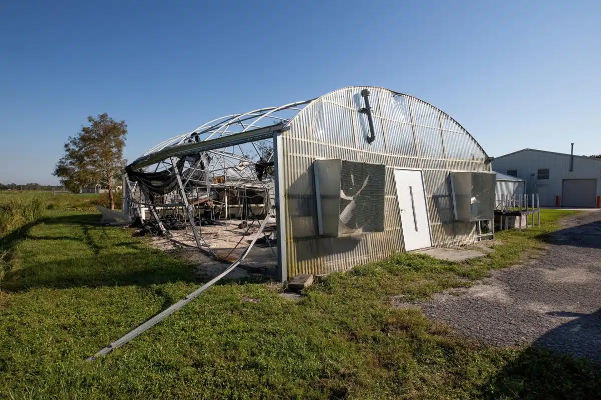 El huracán Milton dejó pérdidas agrícolas de más de 190 millones de dólares en Florida