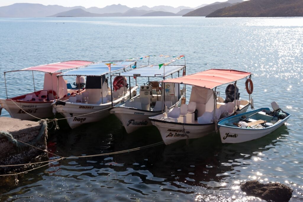 En Topolobampo aumentan los paseos por la bahía gracias a la presencia de paisanos.