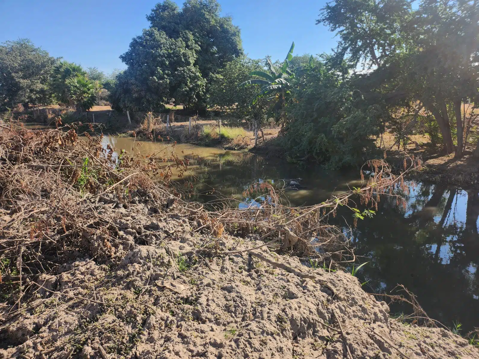 Encuentran a un hombre sin vida flotando dentro del canal del Olmo en Culiacán