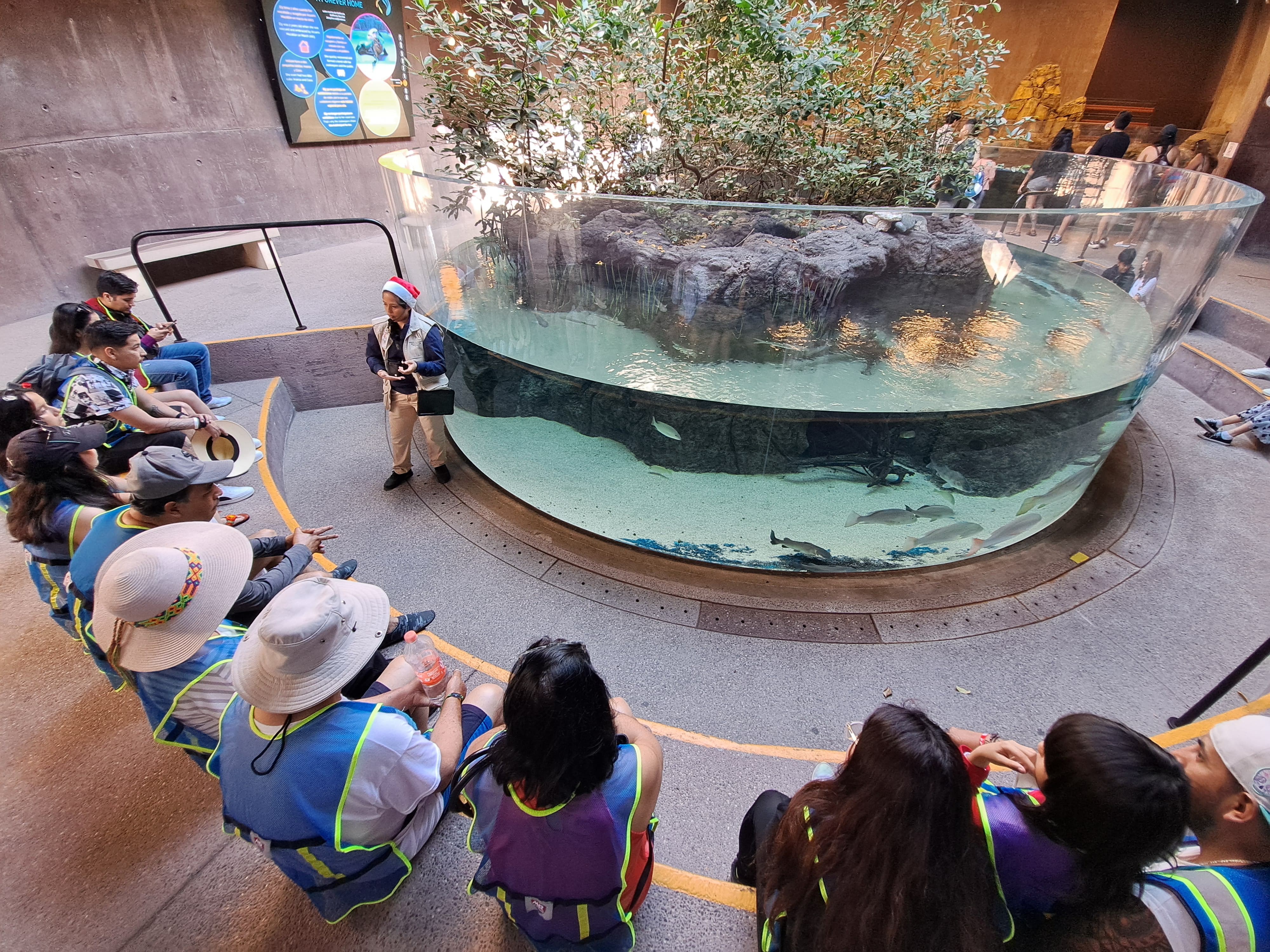 Recorrido Experiencia Tiburón en el Gran Acuario Mar de Cortés.