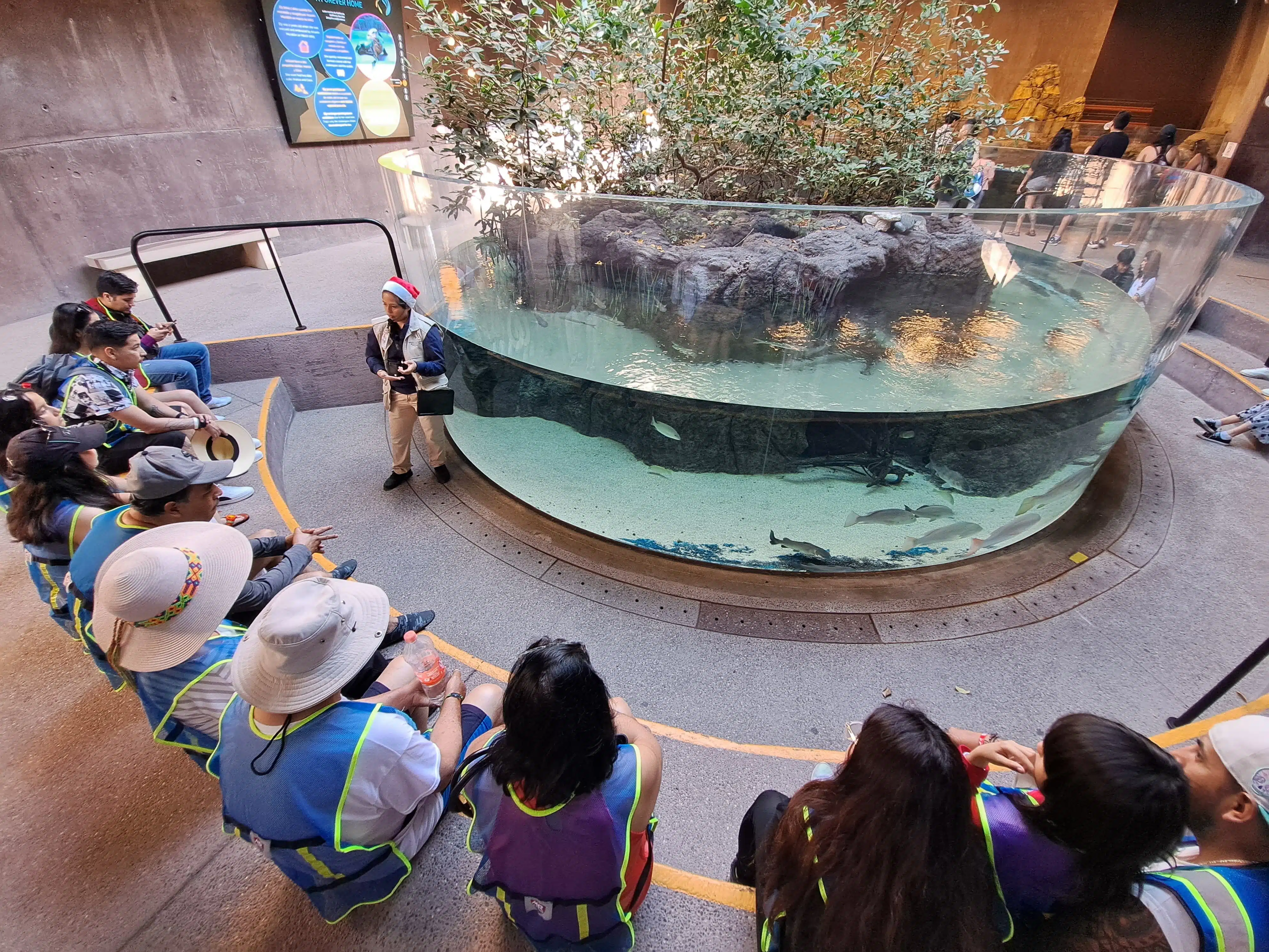 Recorrido Experiencia Tiburón en el Gran Acuario Mar de Cortés.