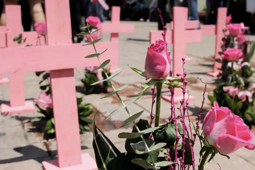 Cruces de color rosa con flores del mismo color, representando a las mujeres que han sido asesinadas.