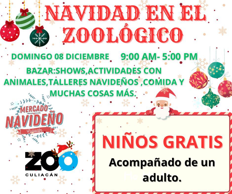 Gran bazar Mercado Navideño