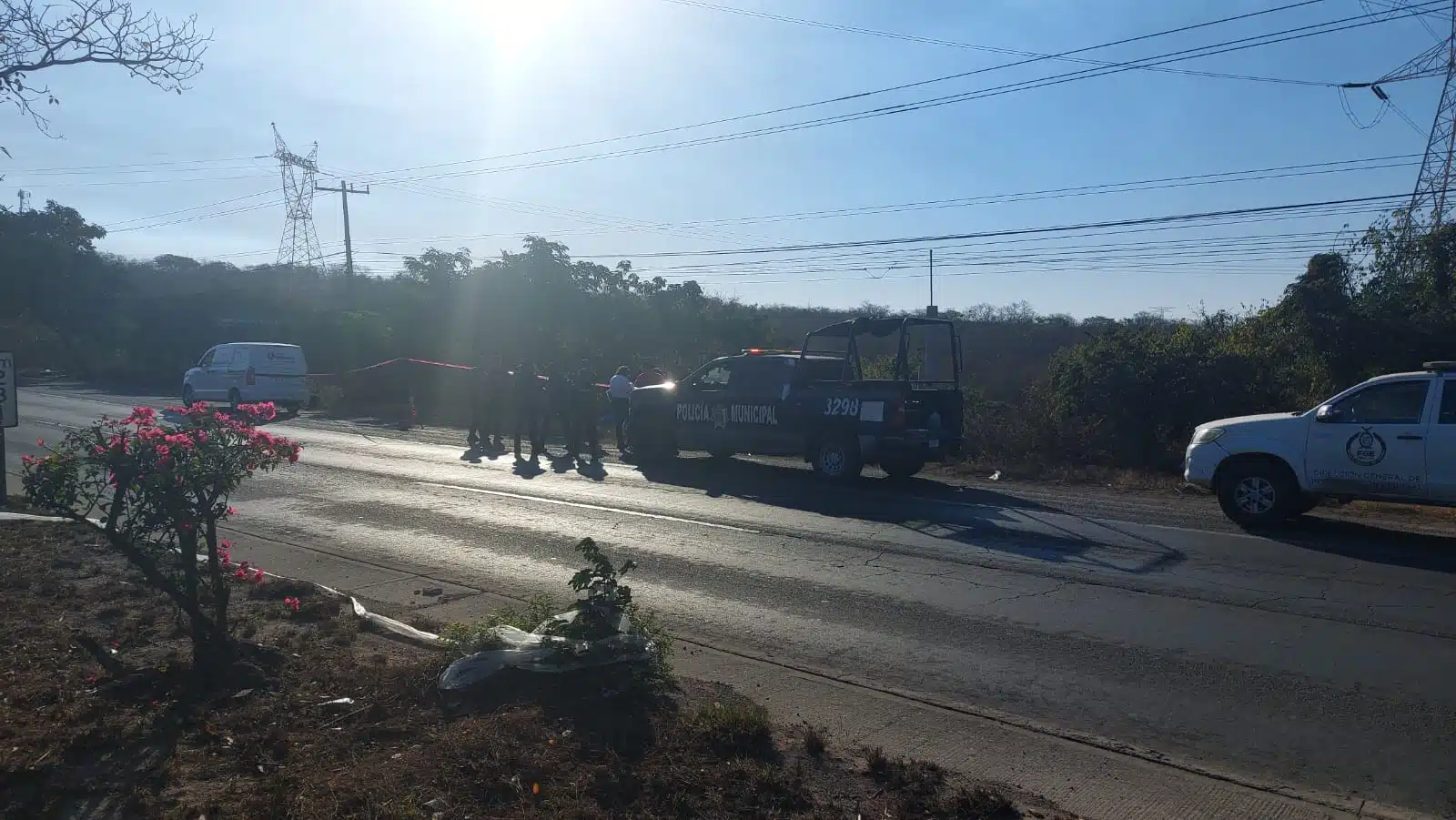 Hallazgo termo MAzatlán 2