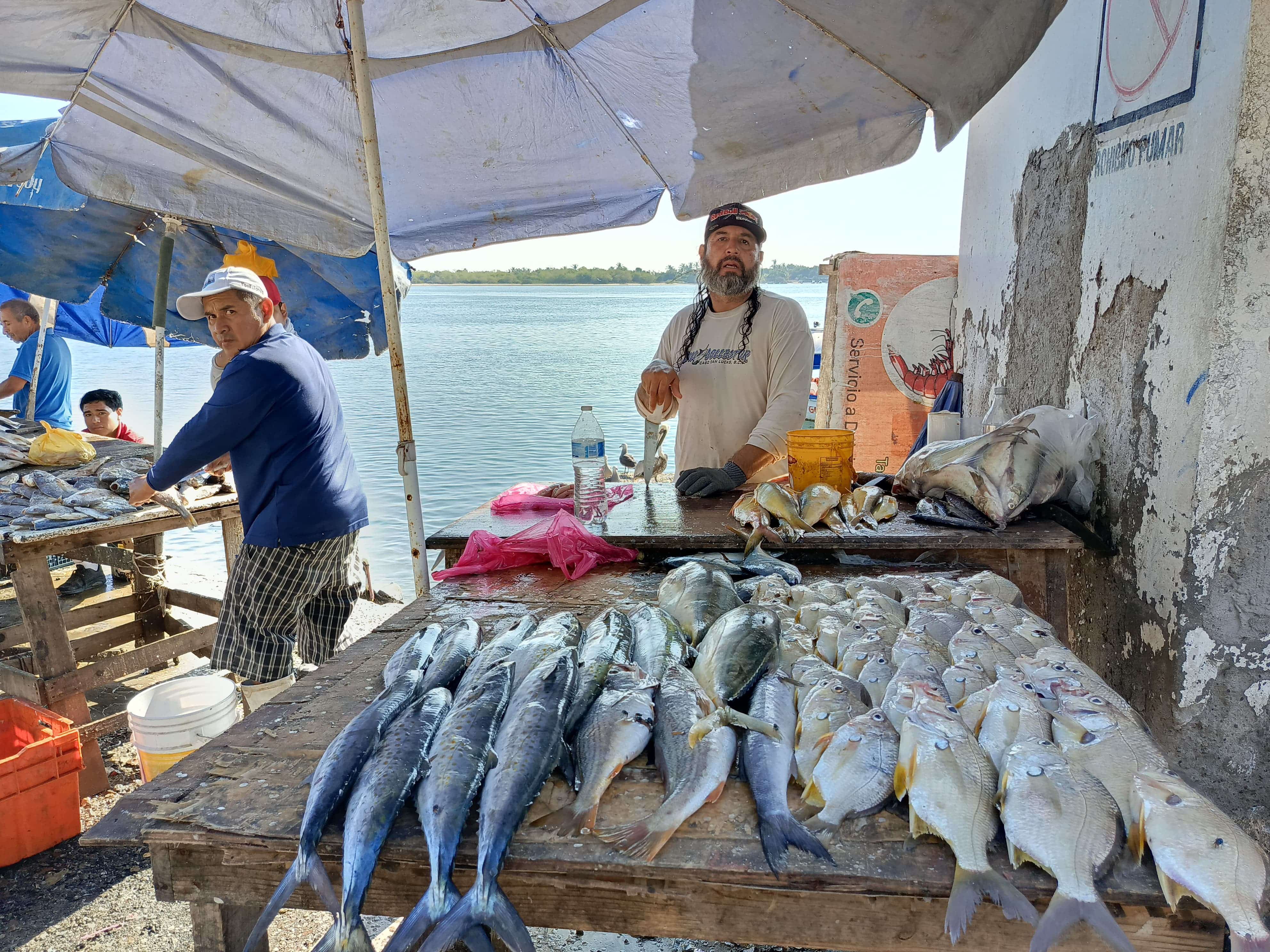 Hay poca venta de marisco en el embarcadero de la Isla de la Piedra en Mazatlán