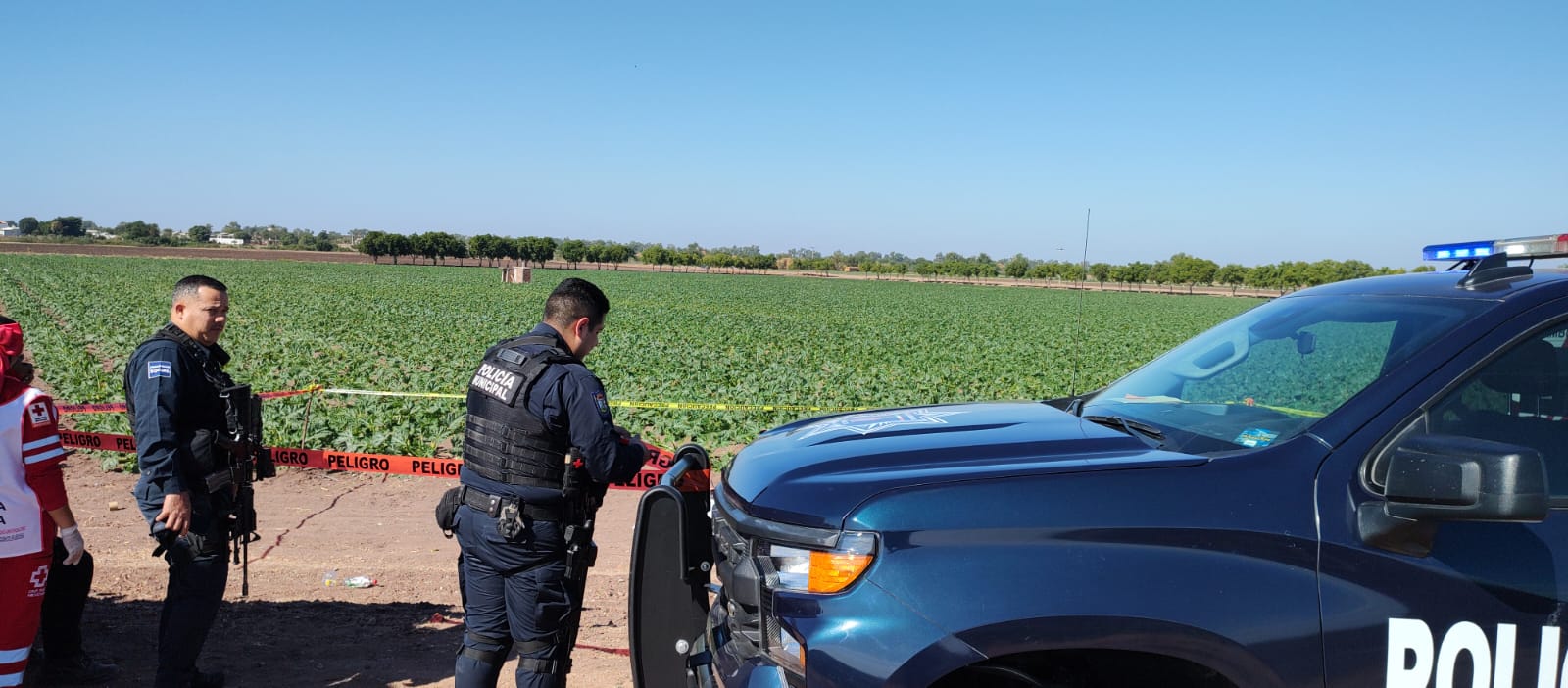 Hombre muere atropellado por camión en campo agrícola de Chumpolehuistle, Angostura