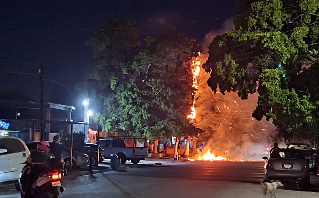 Debido a la pirotecnia, unos árboles se prenden en llamas y moviliza a los cuerpos de emergencia