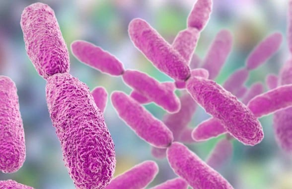 Reportan fallecimiento de 3 niños por Klebsiella oxytoca en hospital de Morelia, Michoacán