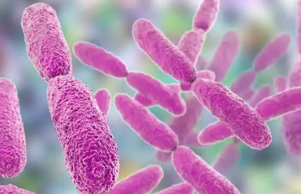 Reportan fallecimiento de 3 niños por Klebsiella oxytoca en hospital de Morelia, Michoacán