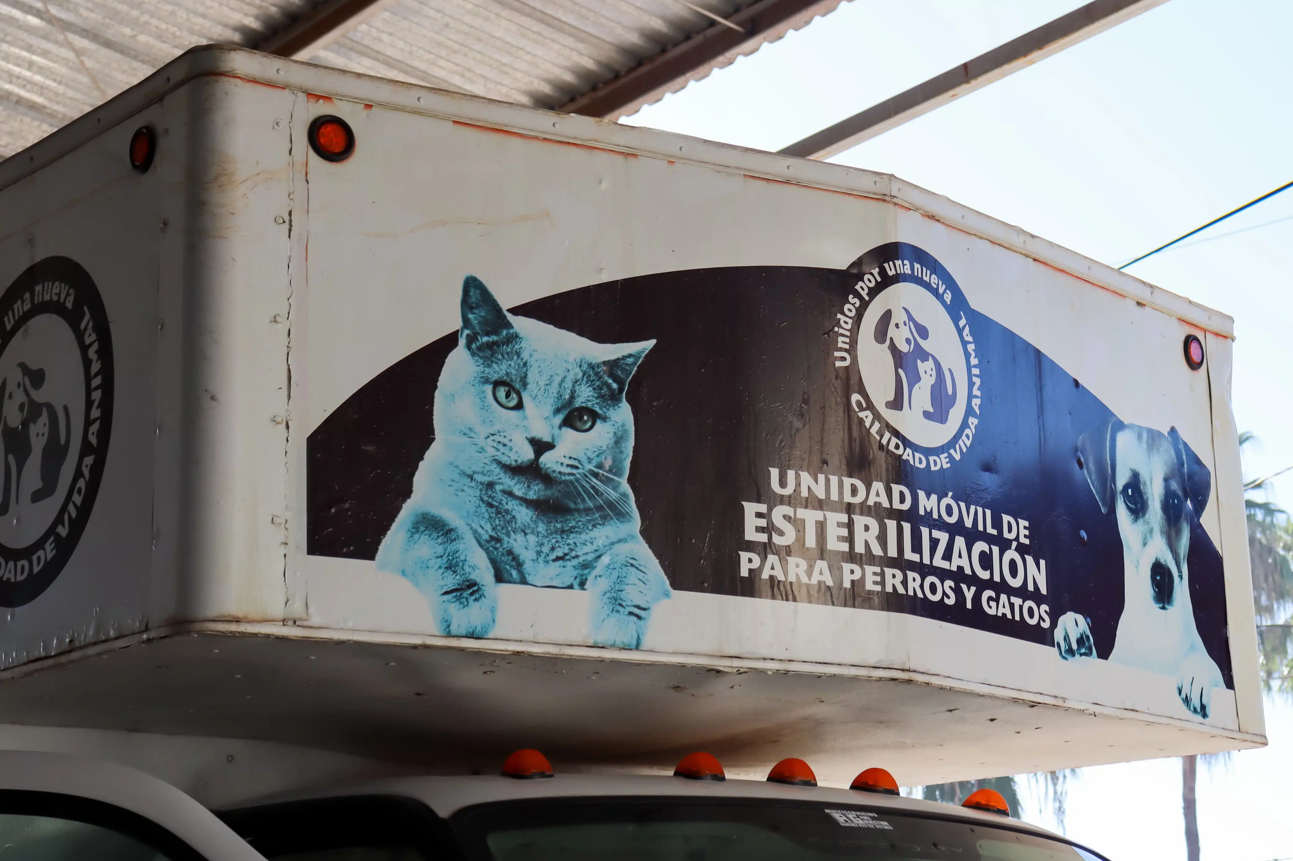 Brigada de esterilización y vacunación antirrábica a perros y gatos en La Florida.