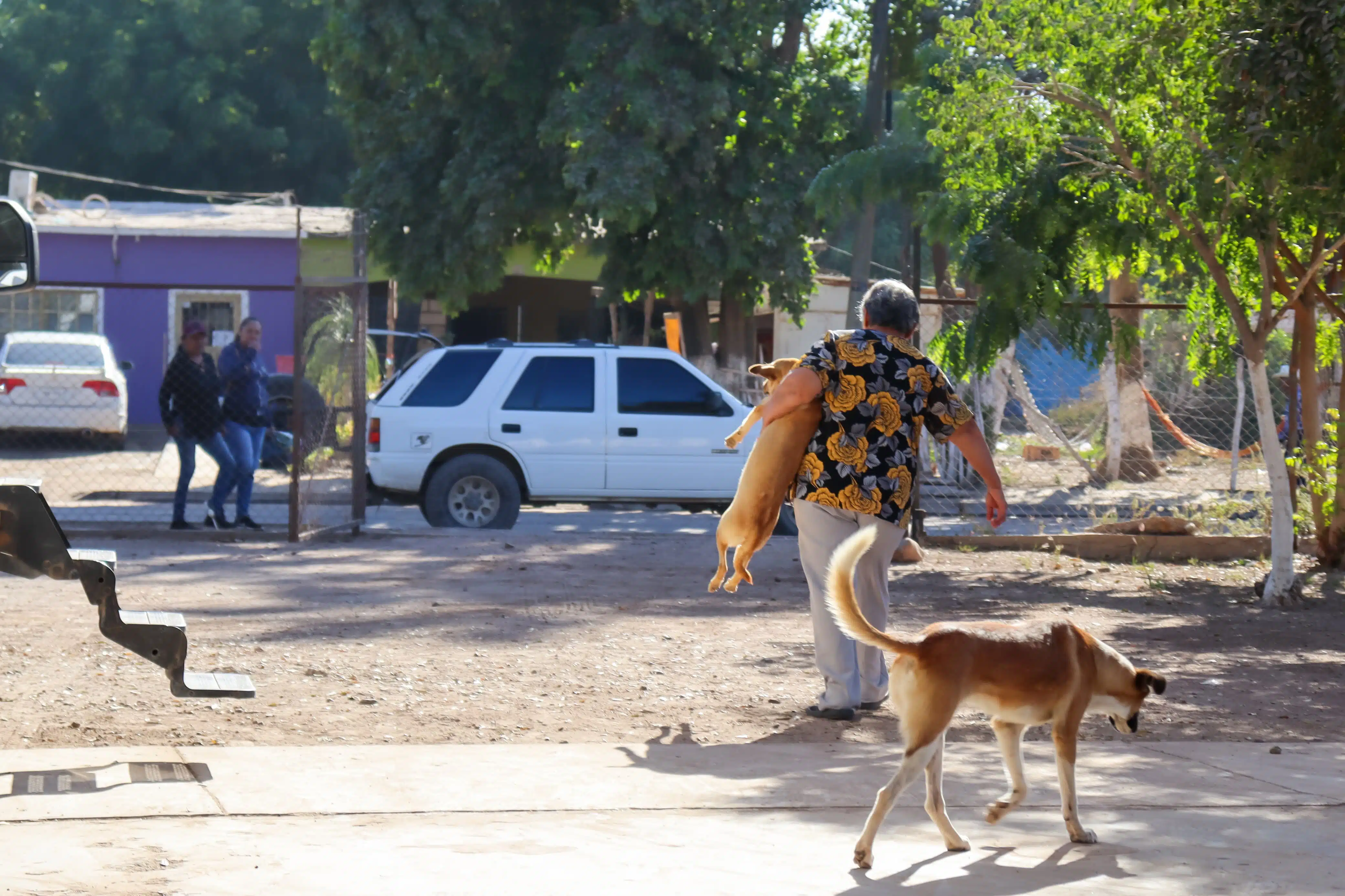 Brigada de esterilización y vacunación antirrábica a perros y gatos en La Florida.