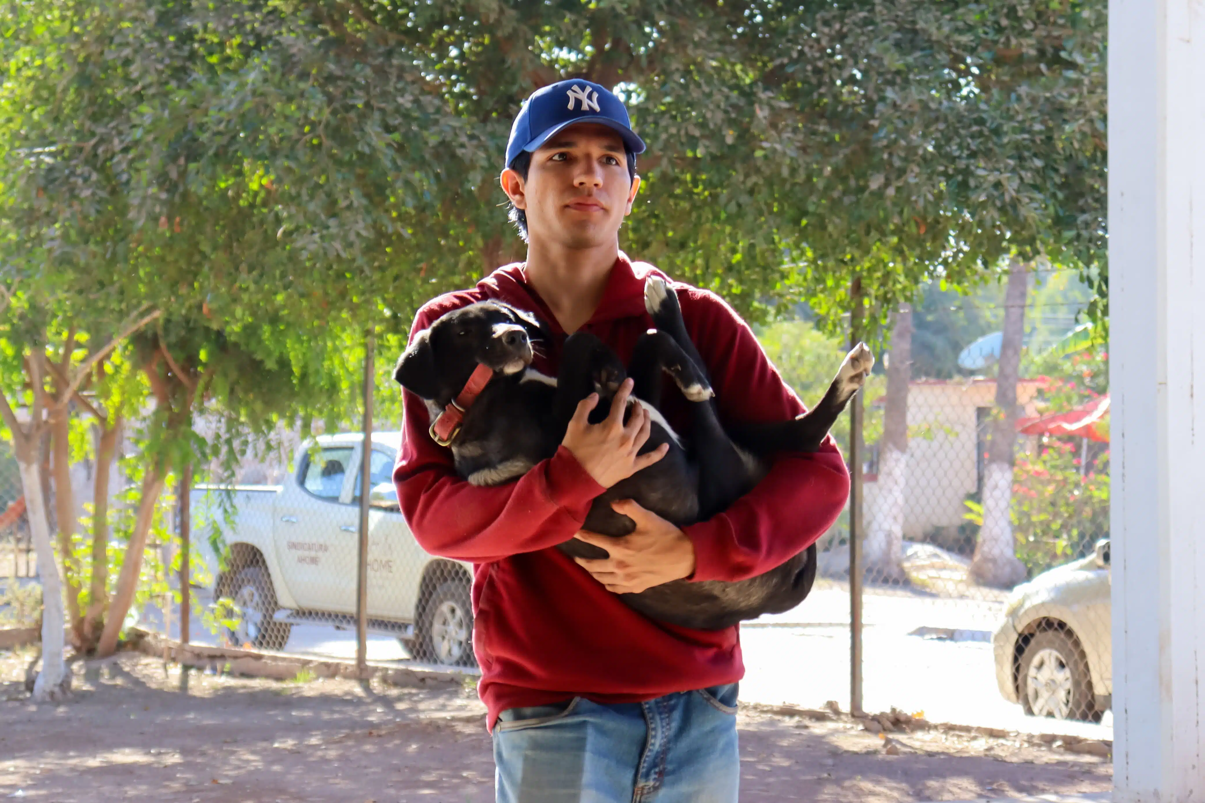 Brigada de esterilización y vacunación antirrábica a perros y gatos en La Florida.