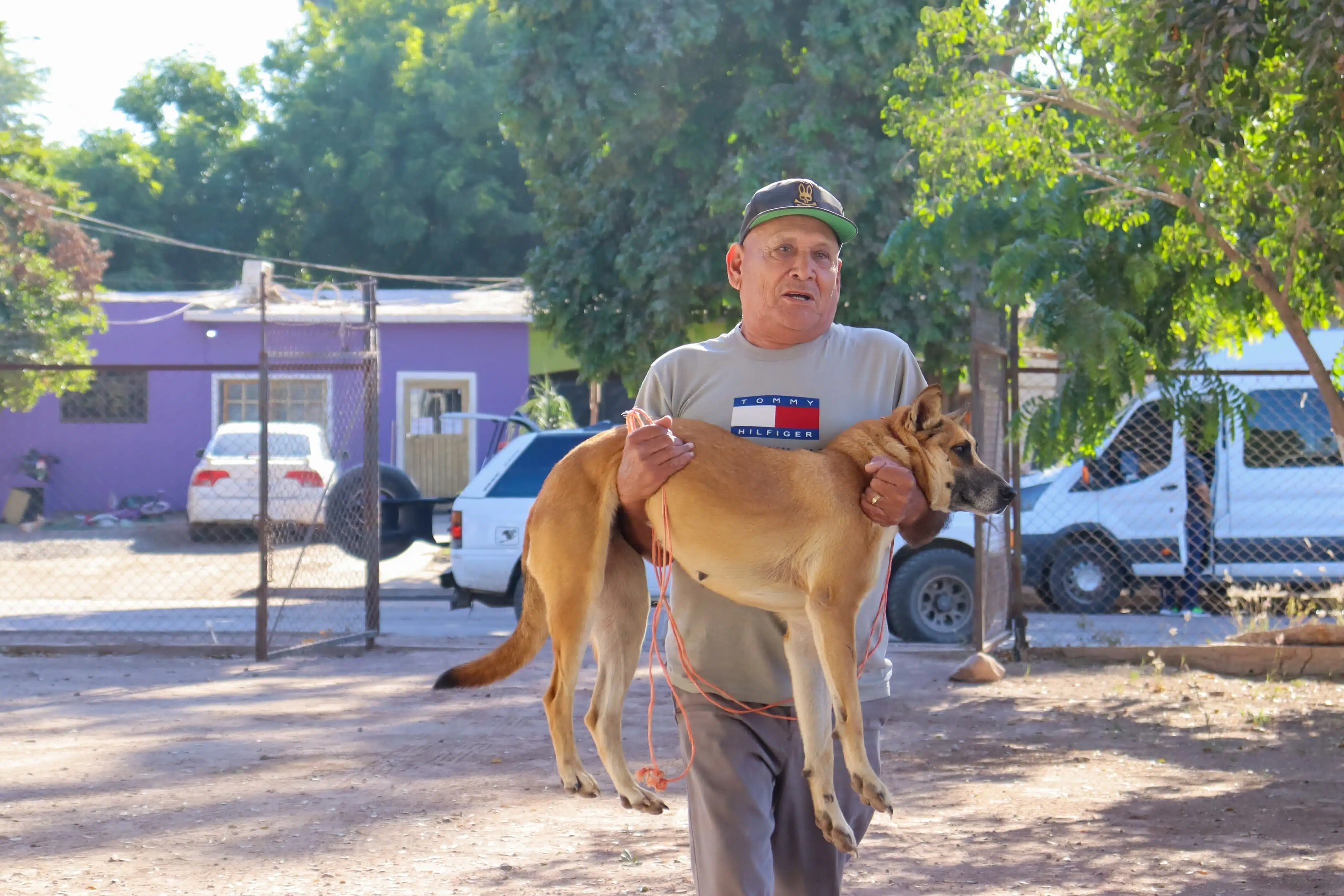 Brigada de esterilización y vacunación antirrábica a perros y gatos en La Florida.