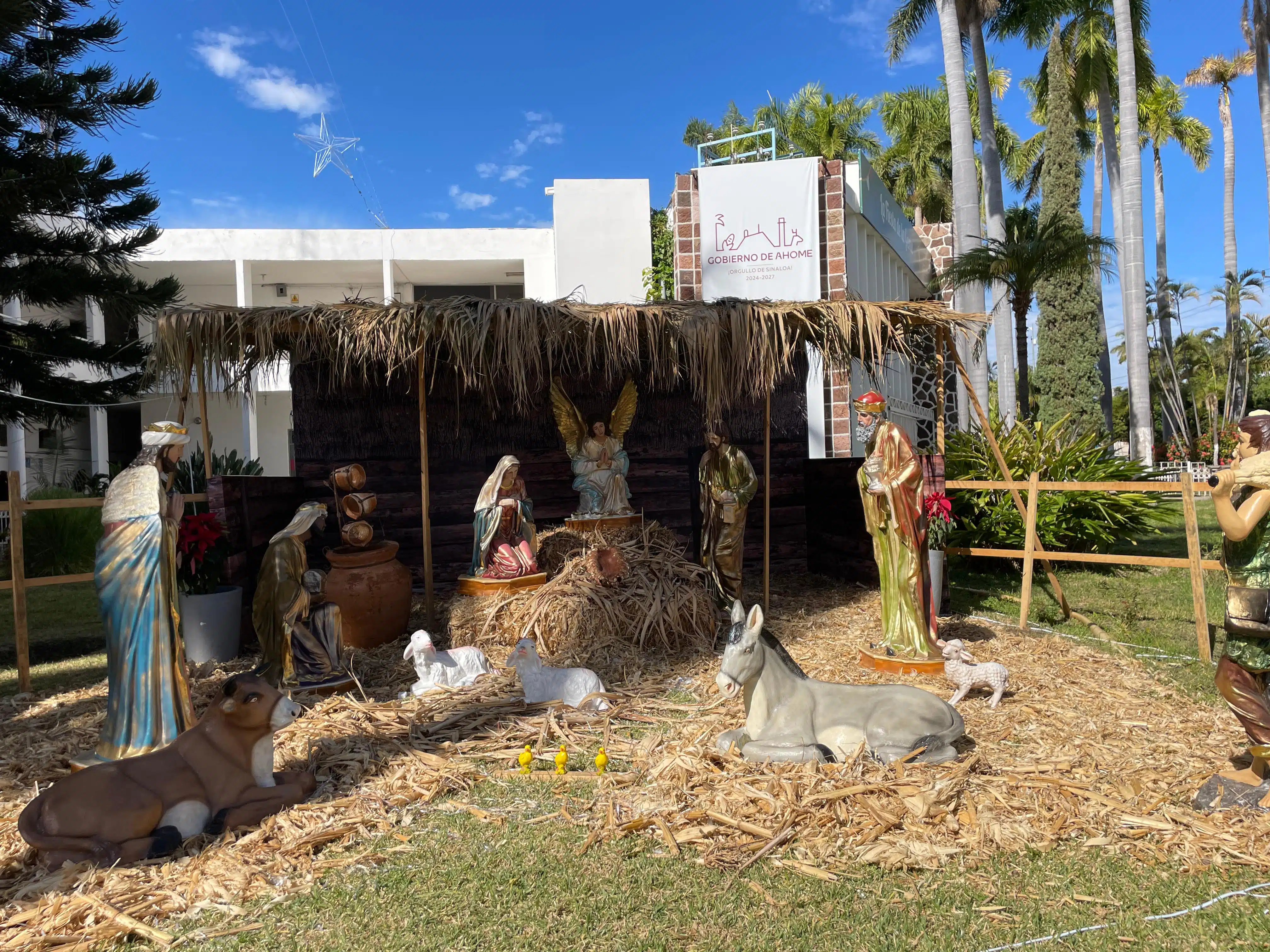 Nacimiento Navidad