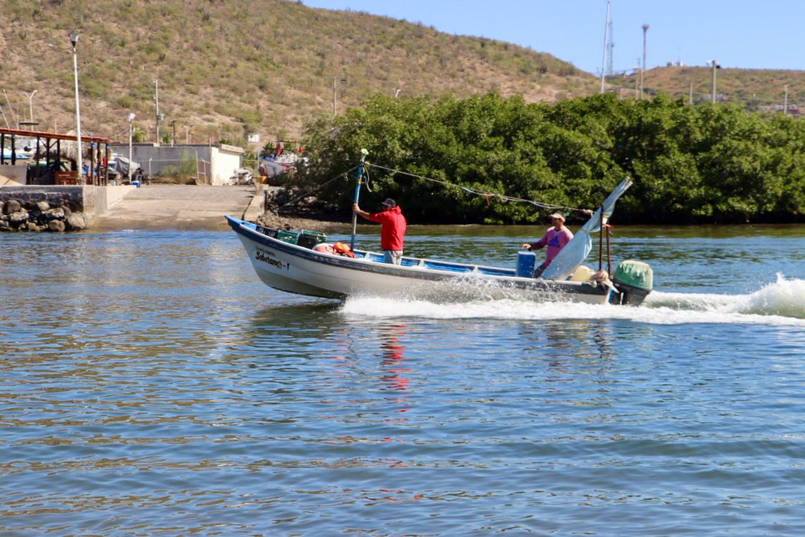 PESCA MAZATLÁN (4)