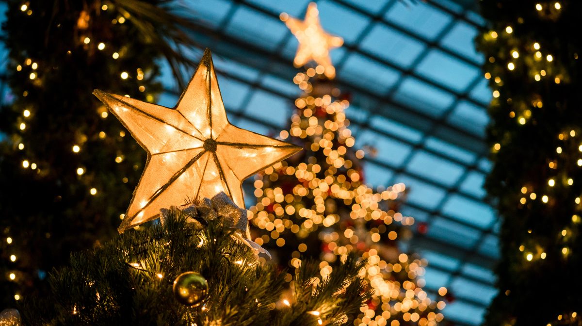 PUESTA ÁRBOL NAVIDEÑO