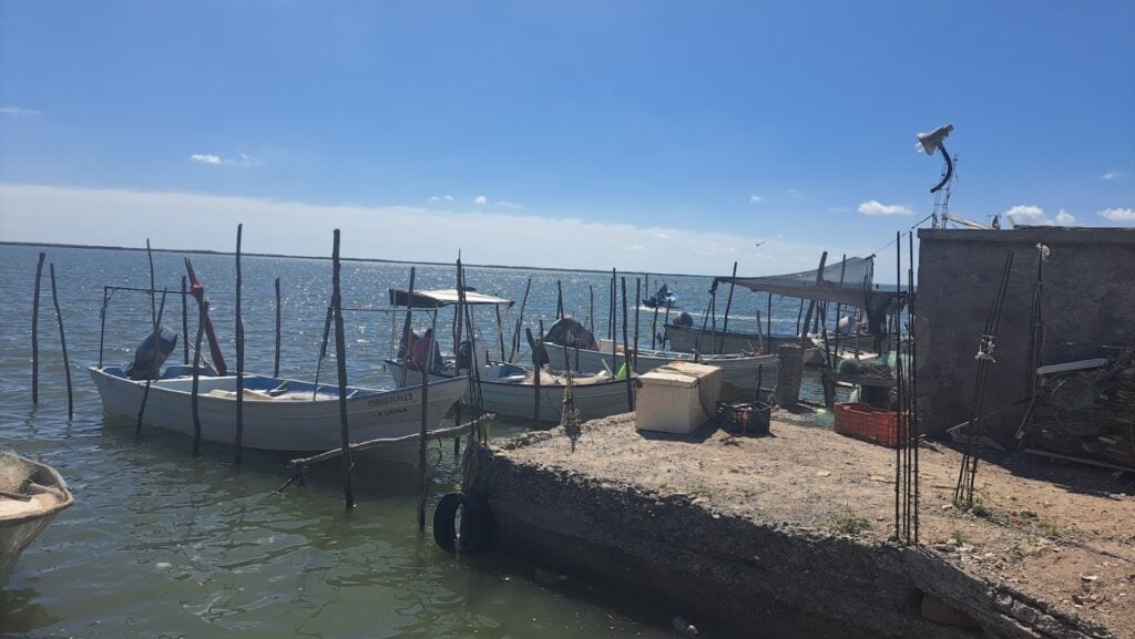  Pescadores suplican apoyos