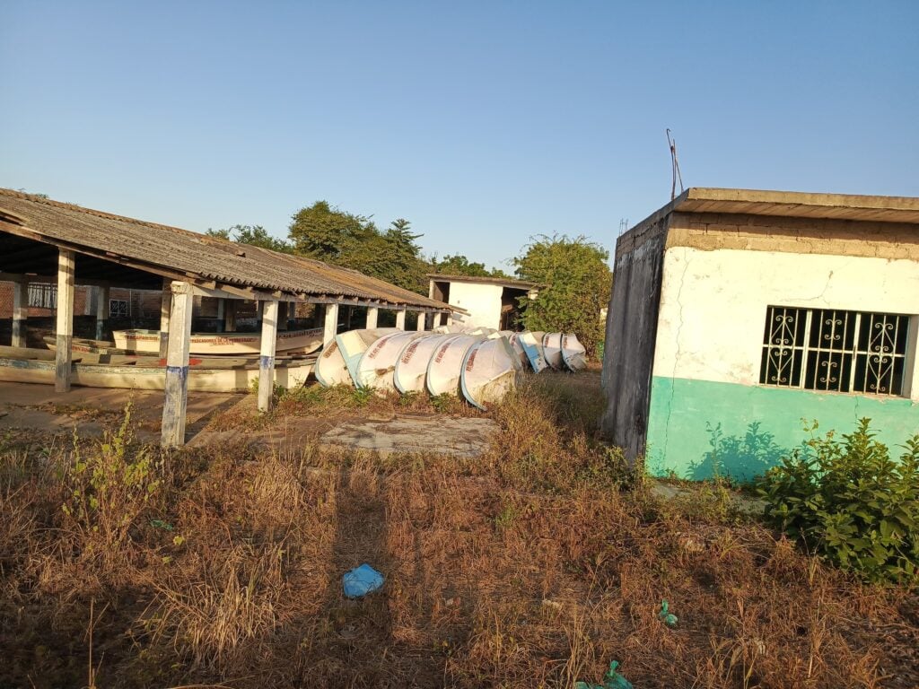 Pésimas capturas de camarón, aseguran pescadores de cooperativa en Mazatlán