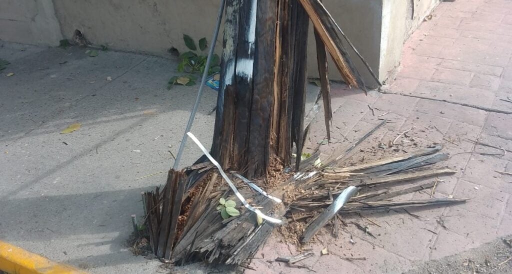 Poste de luz por caer-Mazatlán