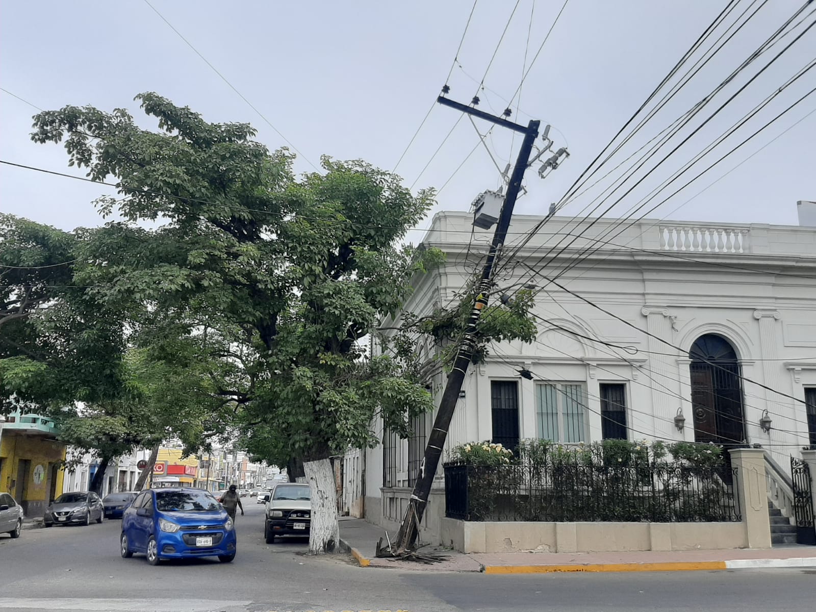 El poste de madera se quebró desde la base y está sostenido por los cables de energía eléctrica 