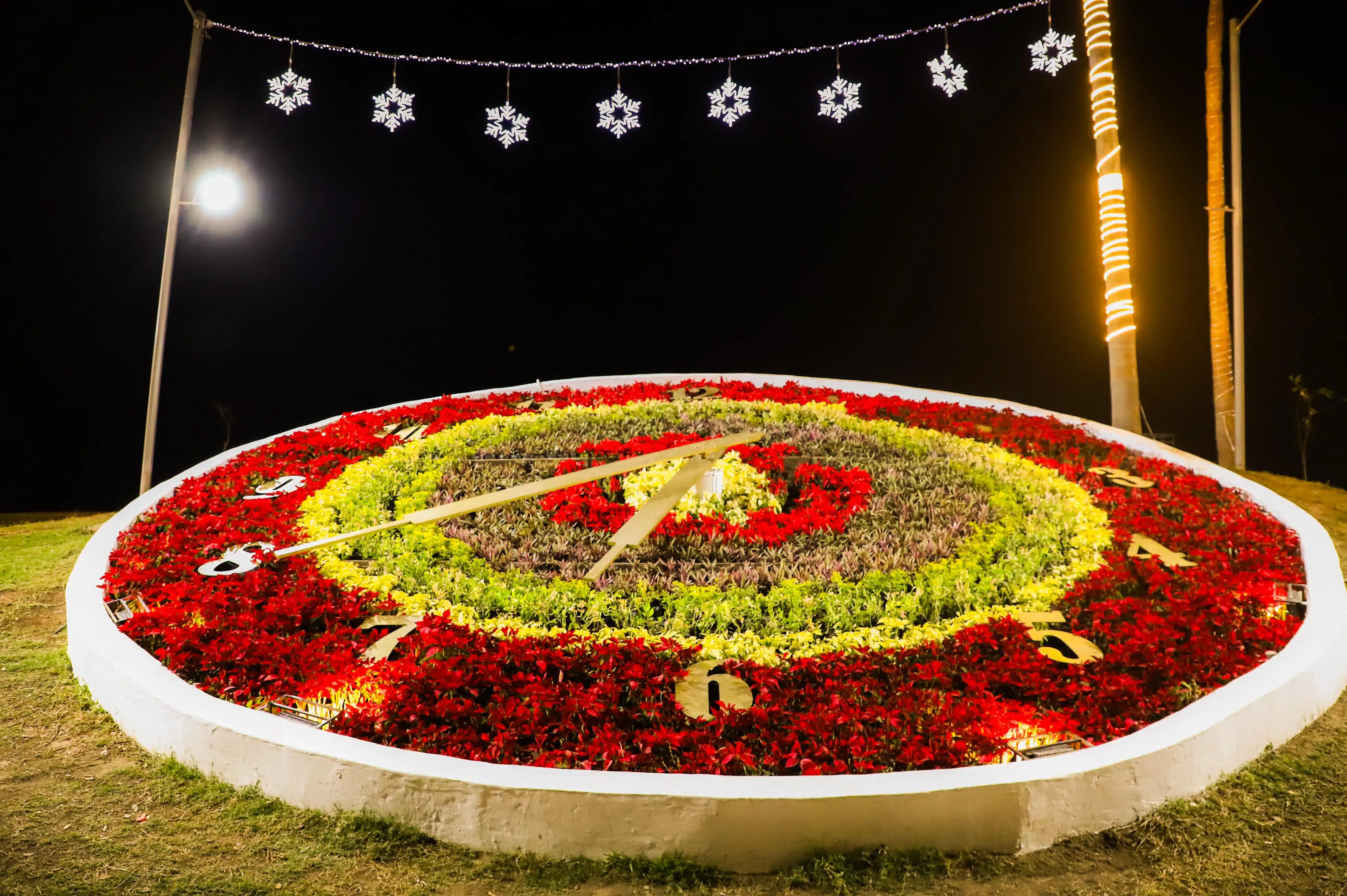 El reloj de Culiacán es adornado con flores de nochebuenas para esta temporada navideña