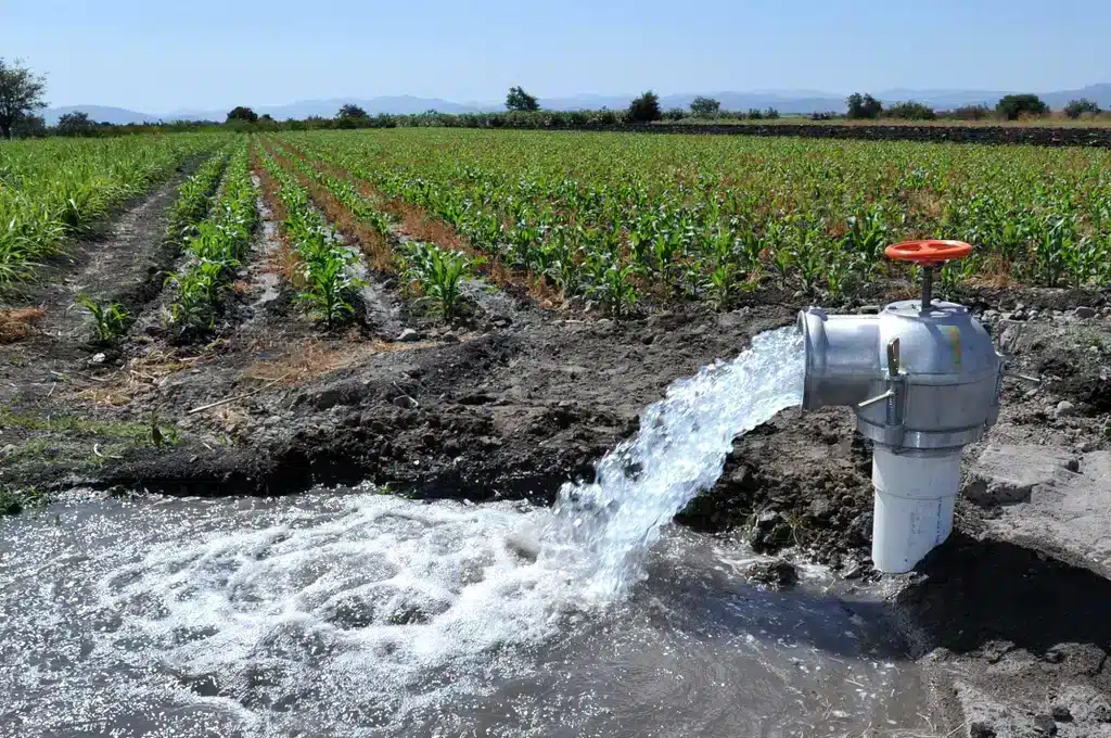 Se extrae agua del subsuelo, Feliciano