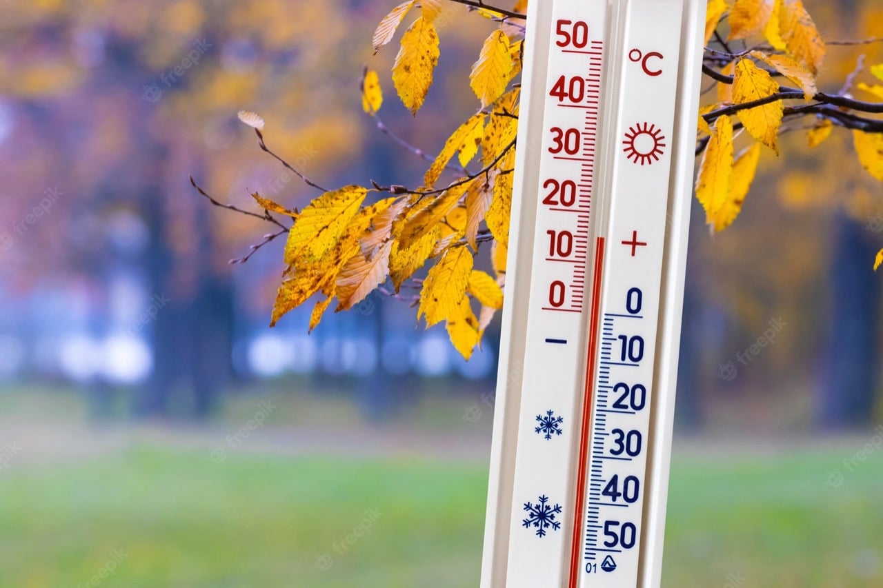 Termómetro y atràs hojas de un árbol en temporada de otoño
