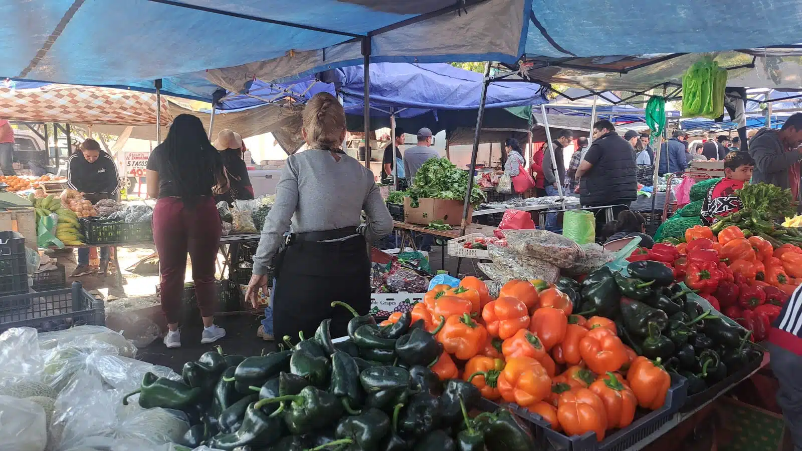 TIANGUIS