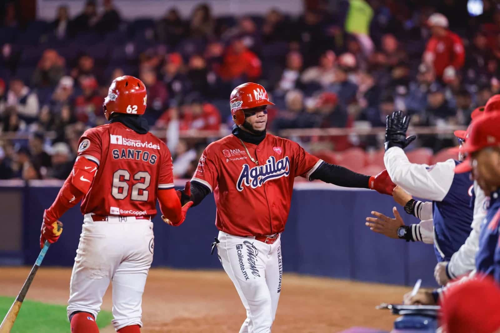 VENADOS VS ÁGUILAS DE MEXICALI (1)