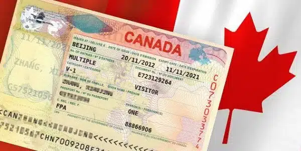 ¡Atención mexicanos! Estos es lo que se necesita para solicitar la visa de Canadá en 2025