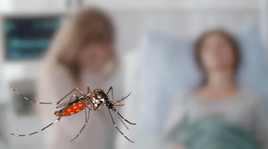 Muerte por dengue