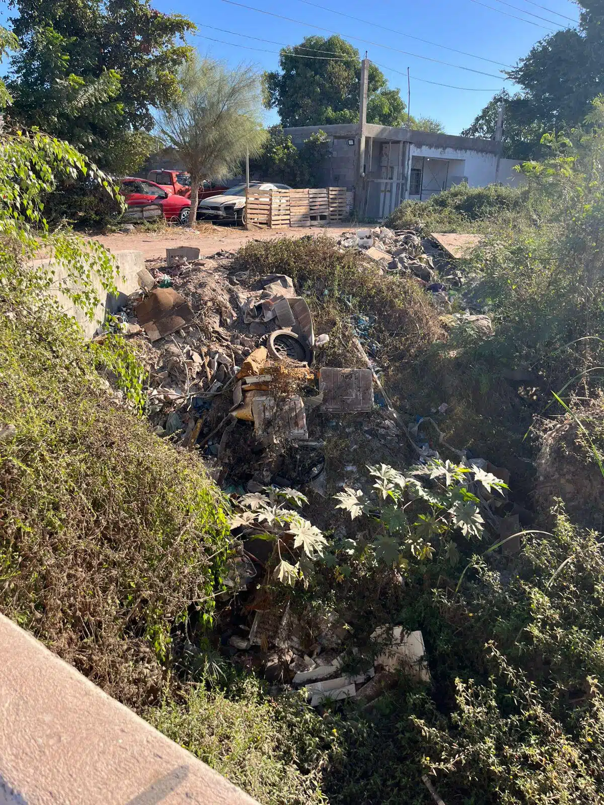 Así lucen los drenes y canales en Los Mochis con basura.