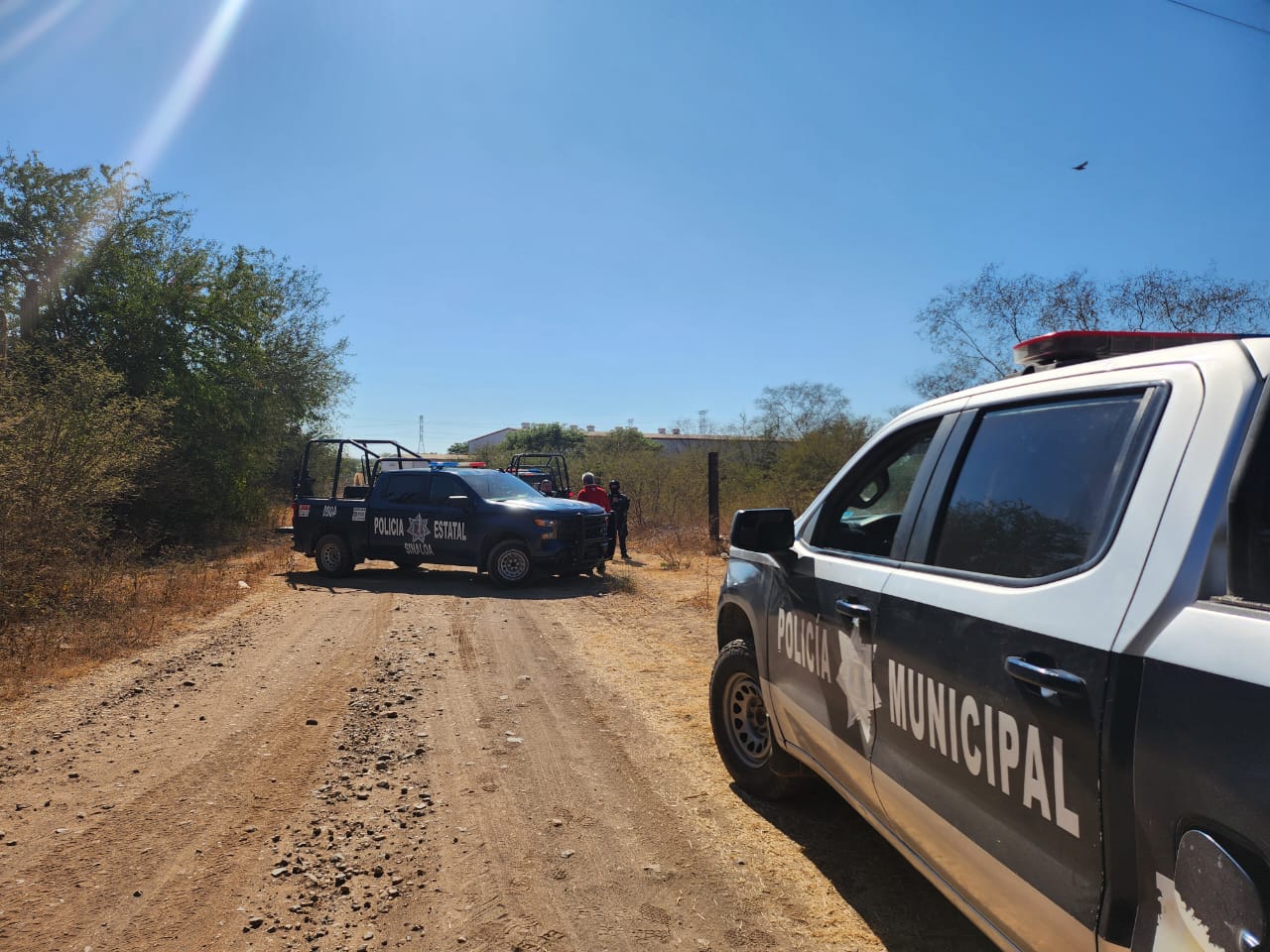 Homicidio en Culiacán