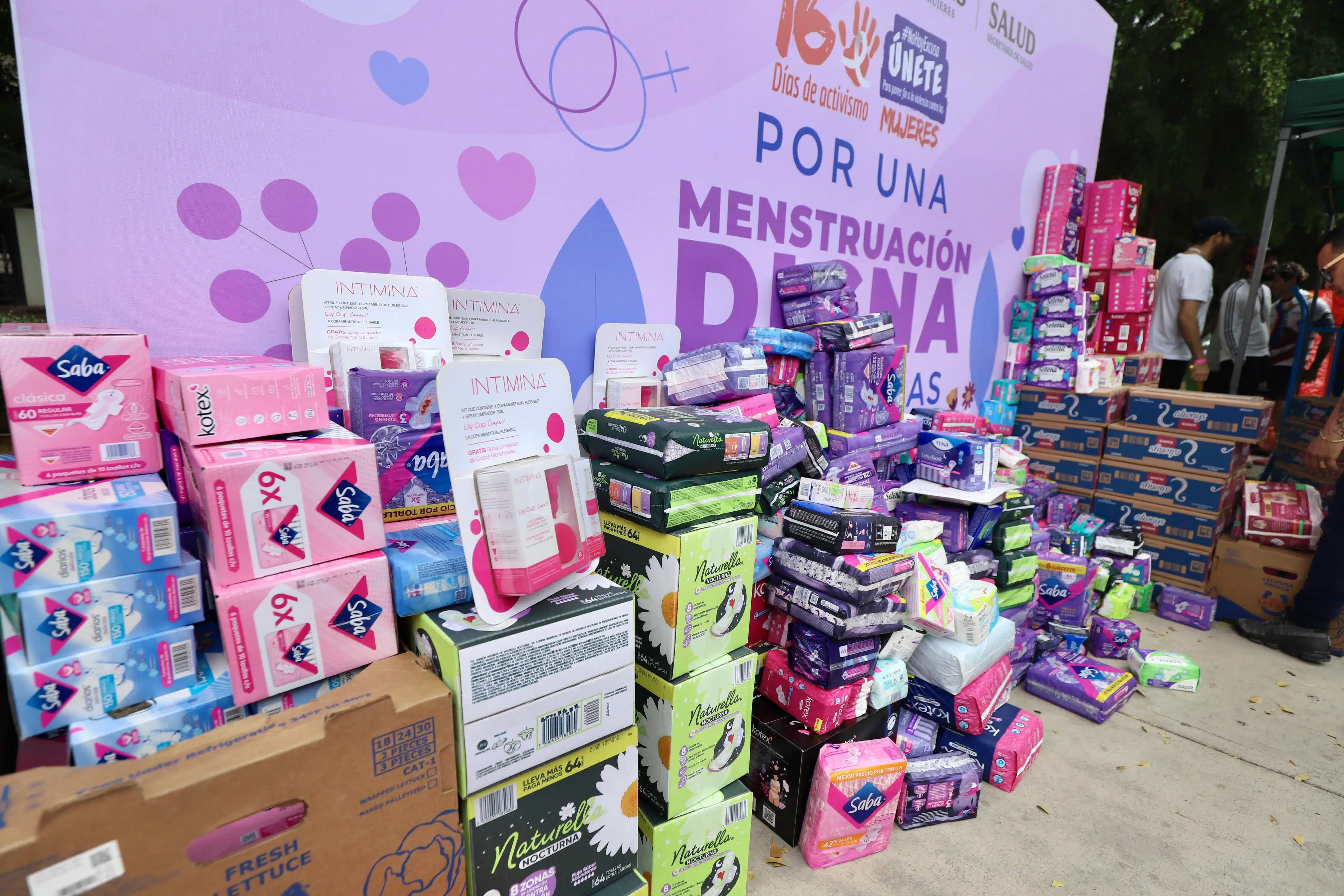 insumos menstruales (1)