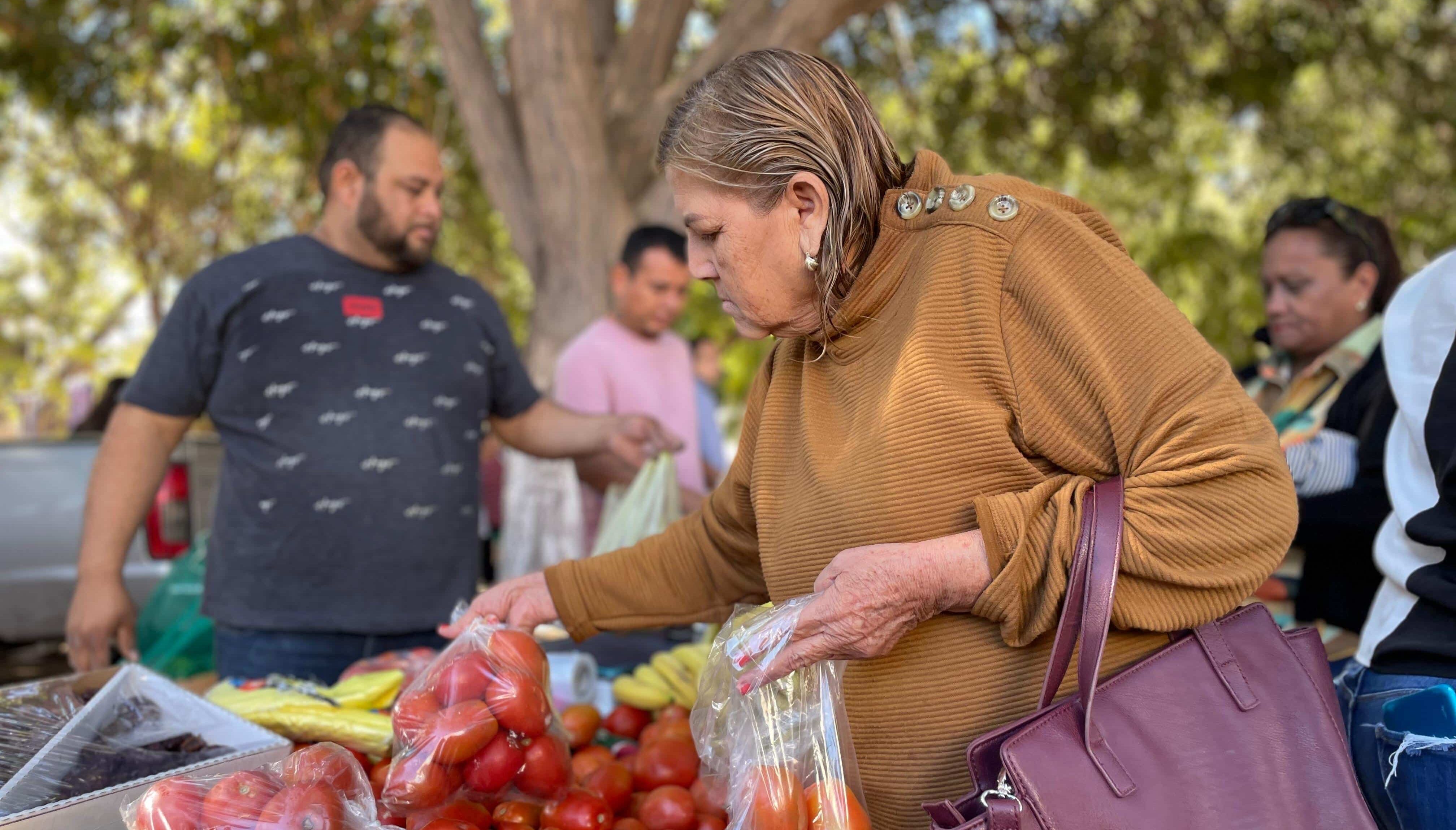 Ama de casa haciendo la compra de frutas y verduras en los puestos que se instalan.