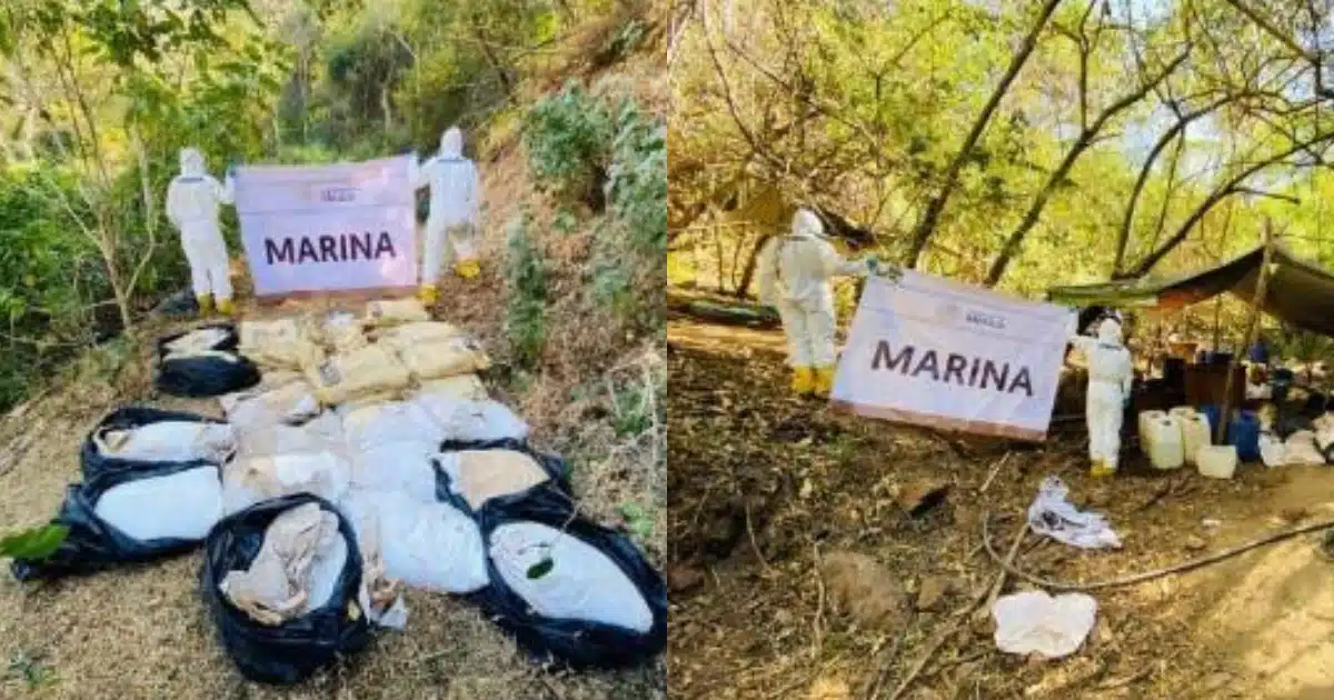 Autoridades neutralizaron un laboratorio clandestino en el poblado Los Cedros, en Culiacán.