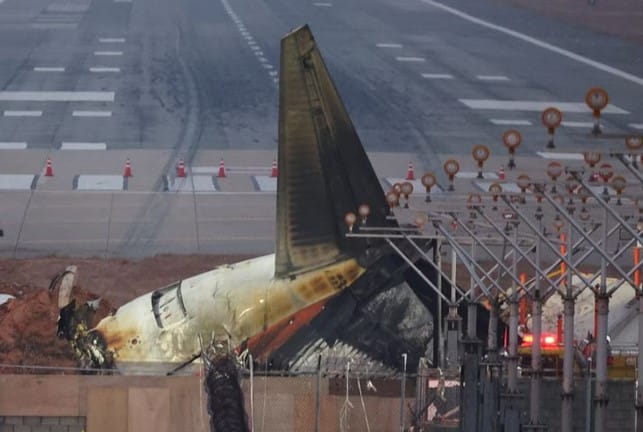 Hallan restos de aves en motores del avión de Jeju Air que dejó 179 fallecidos en Corea del Sur