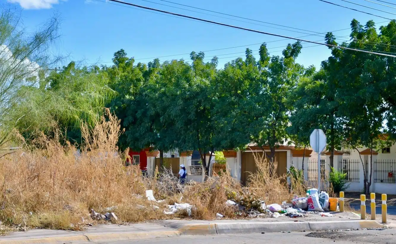 Acumulación de basura y residuos en un baldío de Salvador Alvarado